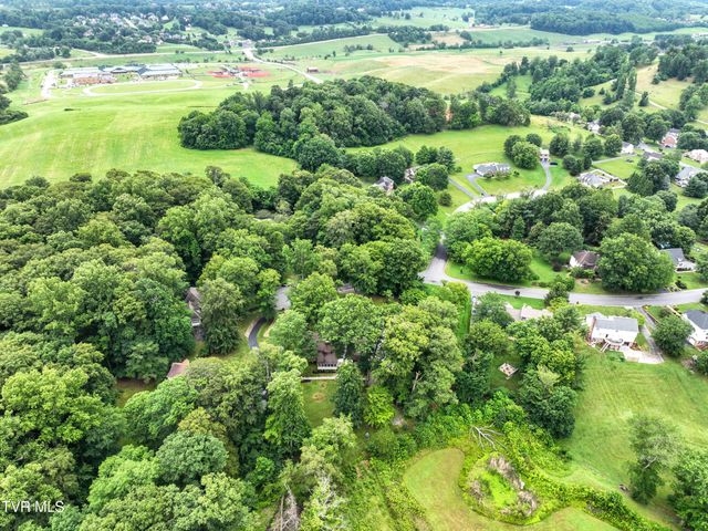 1239 Olde Oaks Drive, Gray, TN 37615