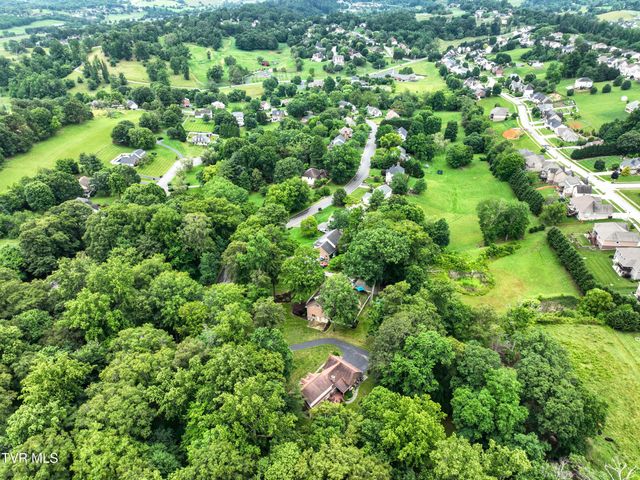 1239 Olde Oaks Drive, Gray, TN 37615