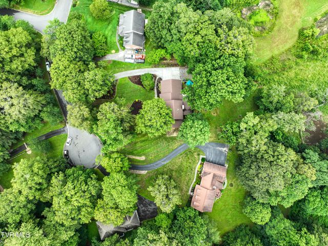 1239 Olde Oaks Drive, Gray, TN 37615