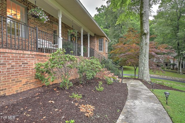 1239 Olde Oaks Drive, Gray, TN 37615