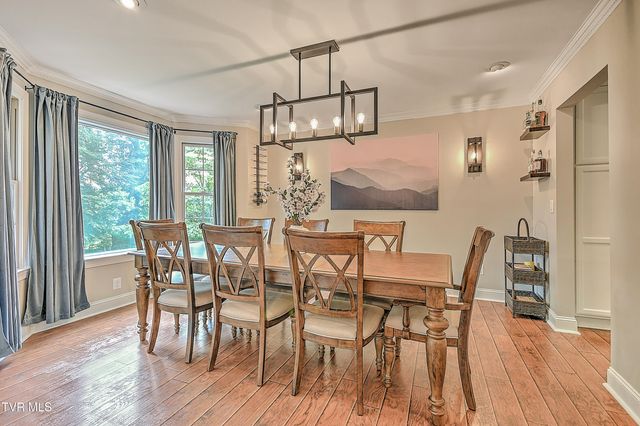 1239 Olde Oaks Drive, Gray, TN 37615