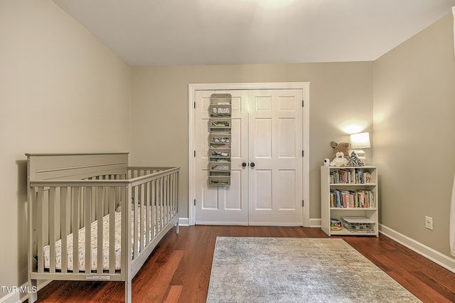 1239 Olde Oaks Drive, Gray, TN 37615