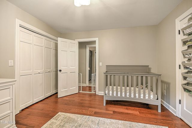 1239 Olde Oaks Drive, Gray, TN 37615