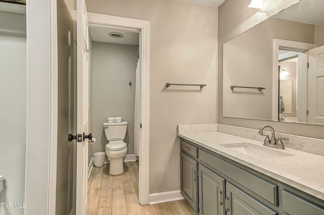 1239 Olde Oaks Drive, Gray, TN 37615