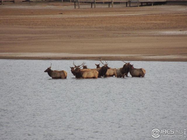 5418 Nantucket Court, Loveland, CO 80537