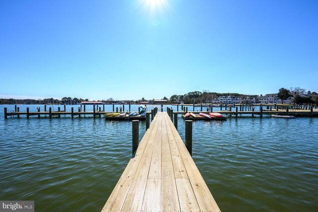 344 PERRY CABIN DR, Saint Michaels, MD 21663