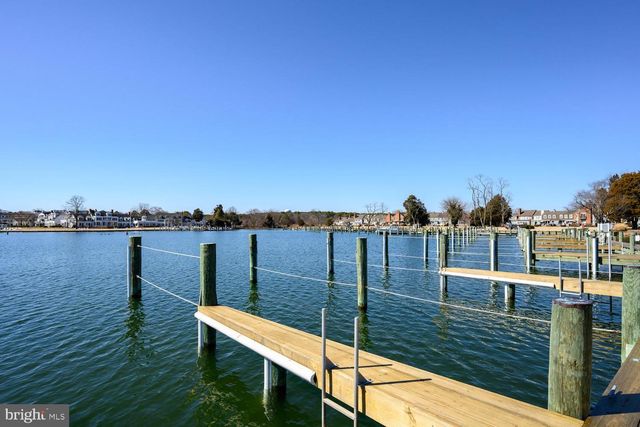 344 PERRY CABIN DR, Saint Michaels, MD 21663