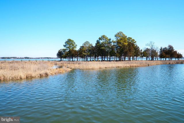 344 PERRY CABIN DR, Saint Michaels, MD 21663