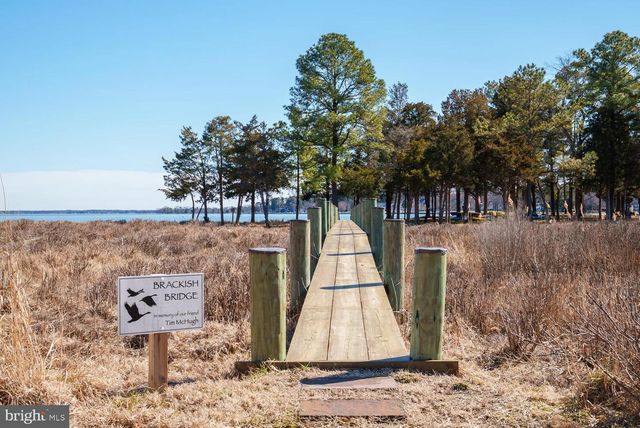 344 PERRY CABIN DR, Saint Michaels, MD 21663