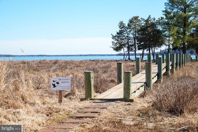 344 PERRY CABIN DR, Saint Michaels, MD 21663