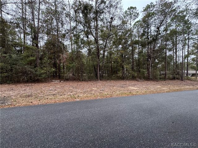 10364 N Academy Drive, Citrus Springs, FL 34434