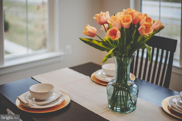 22801 TAWNY PINE SQ, Brambleton, VA 20148