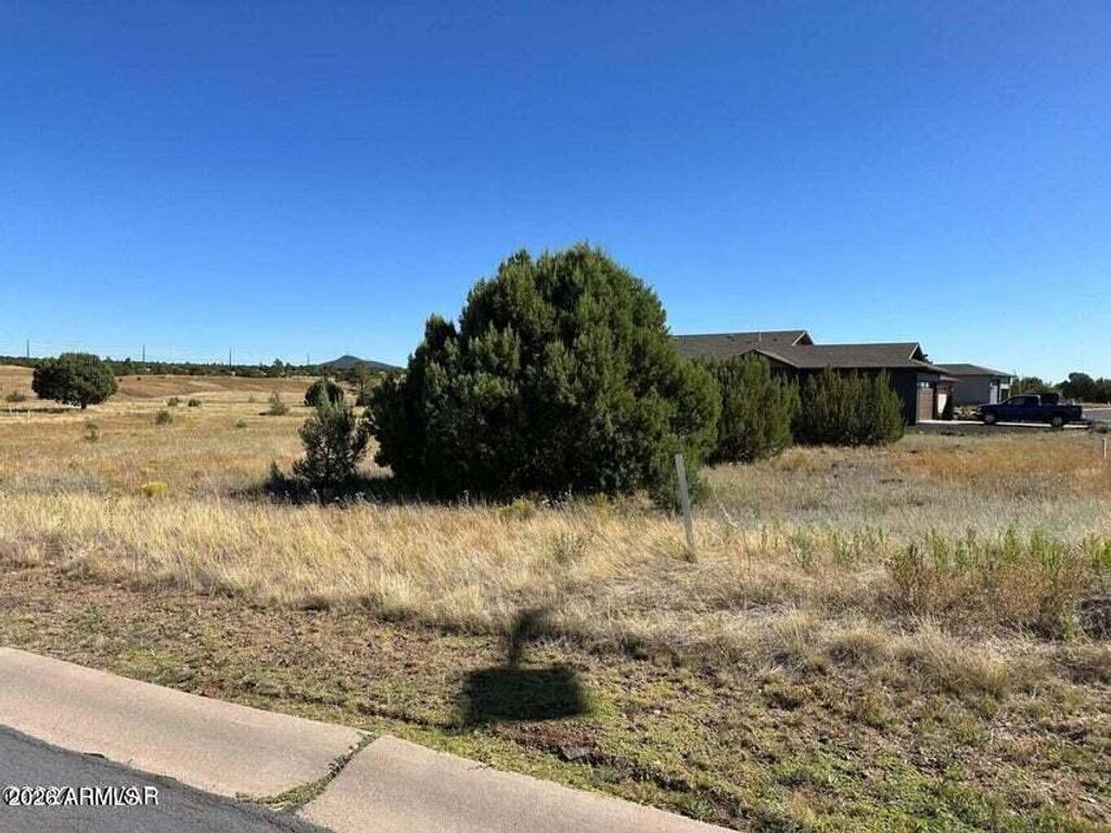 1061 S RIDGELINE Drive 23, Show Low, AZ 85901