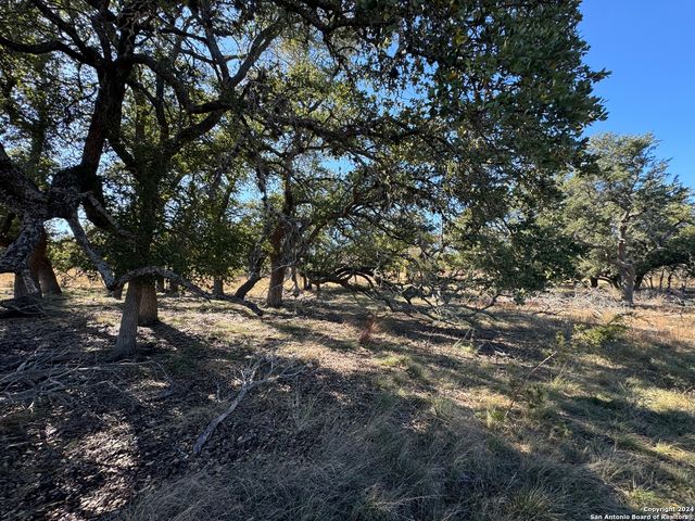 LOT 3 North Grape Creek Rd, Fredericksburg, TX 78624
