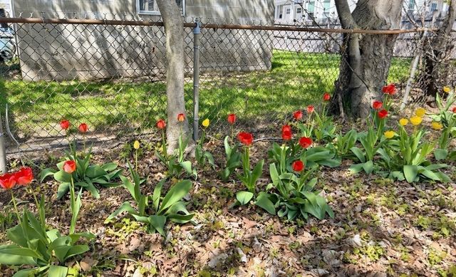 86 Howard St 1, Waltham, MA 02451