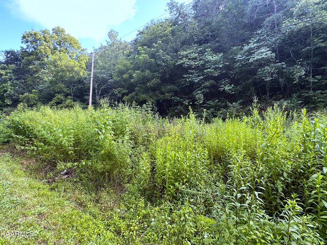 2128 Holt Town Rd, Newport, TN 37821