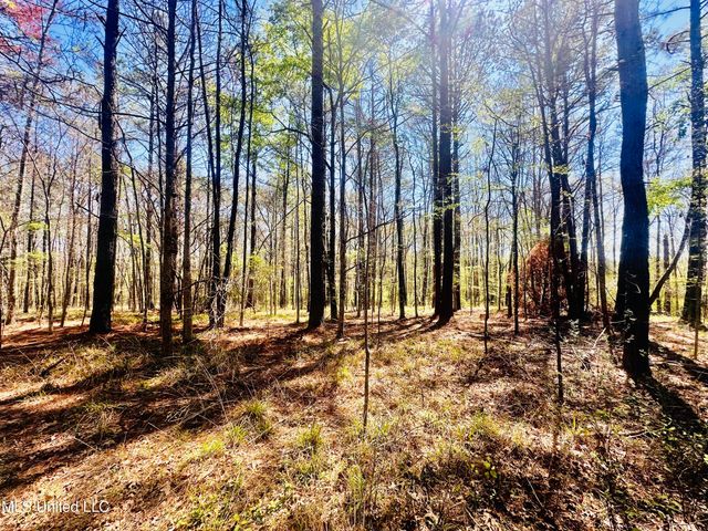 00 Little Rock Road, Crystal Springs, MS 39059