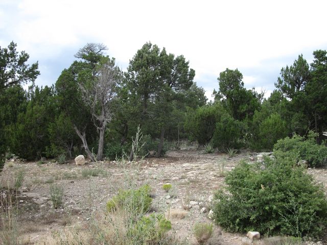 3 Camino Tranquilo Court, Tijeras, NM 87059