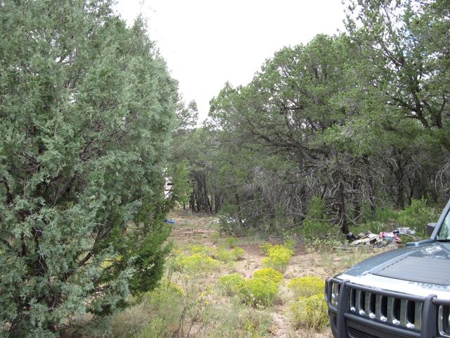 3 Camino Tranquilo Court, Tijeras, NM 87059