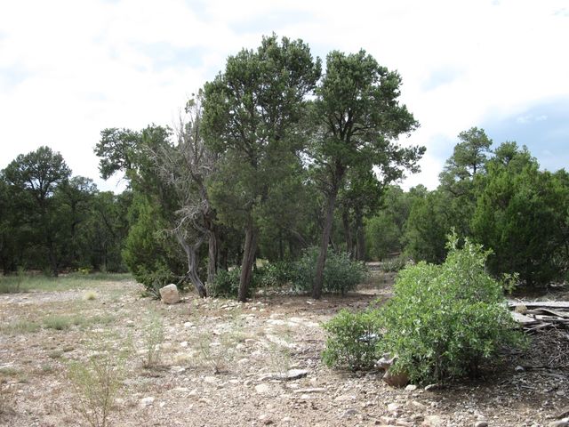 3 Camino Tranquilo Court, Tijeras, NM 87059