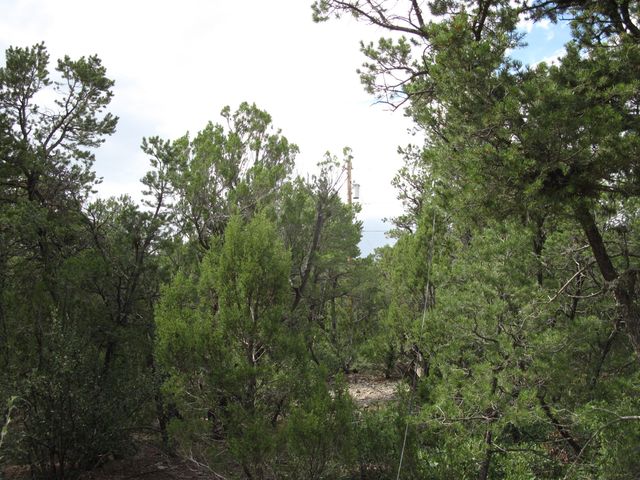 3 Camino Tranquilo Court, Tijeras, NM 87059