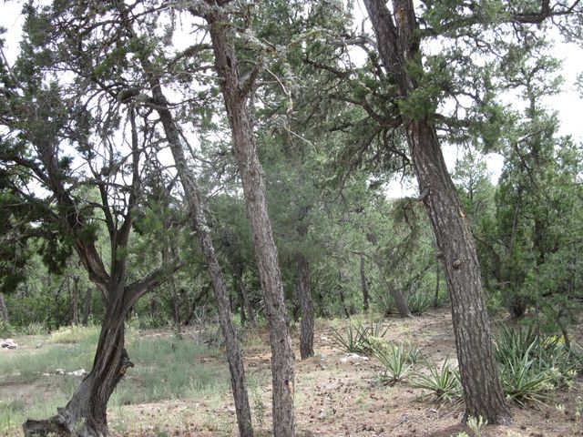 3 Camino Tranquilo Court, Tijeras, NM 87059