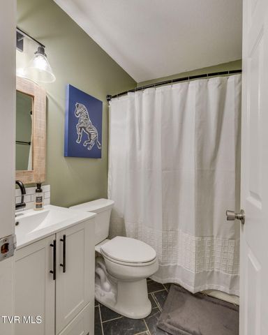 32 Taylor Ridge Court, Johnson City, TN 37601