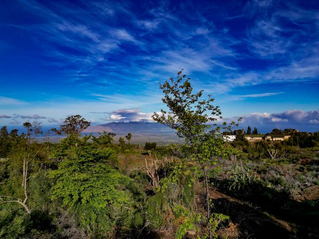 0 Haleakala Hwy unit B, Kula, HI 96790