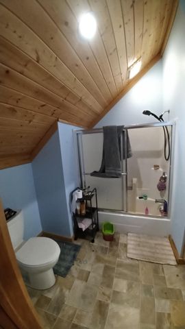 50164 County 29, Bemidji, MN 56601