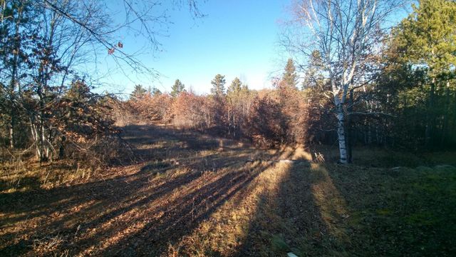 50164 County 29, Bemidji, MN 56601