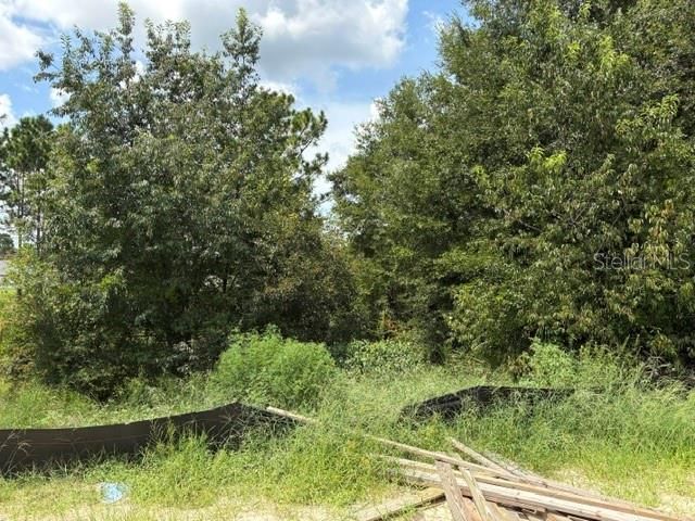 6734 SW 179TH AVENUE ROAD, Dunnellon, FL 34432