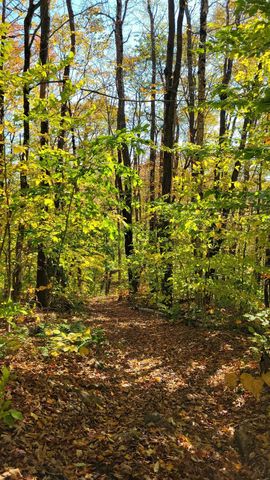 43 Bergblume Circle, Stamford, VT 05352