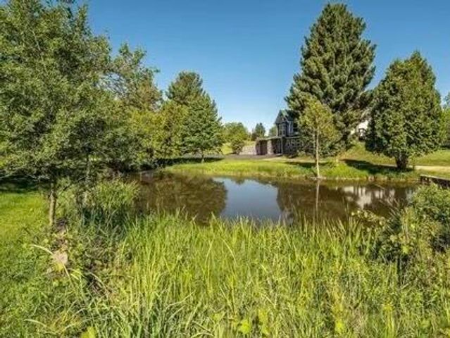 123 S Freer Road, Lima Twp, MI 48118