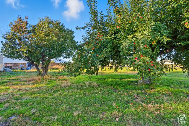 410 W 8TH S, Preston, ID 83263