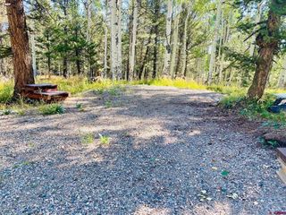 620 Crest Drive, Cimarron, CO 81220