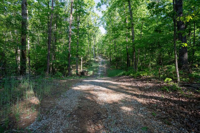 1140 County Road 797, Valley Head, AL 35989