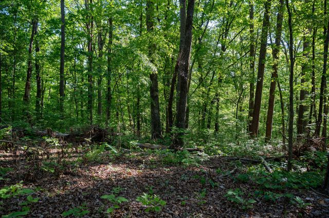 1140 County Road 797, Valley Head, AL 35989