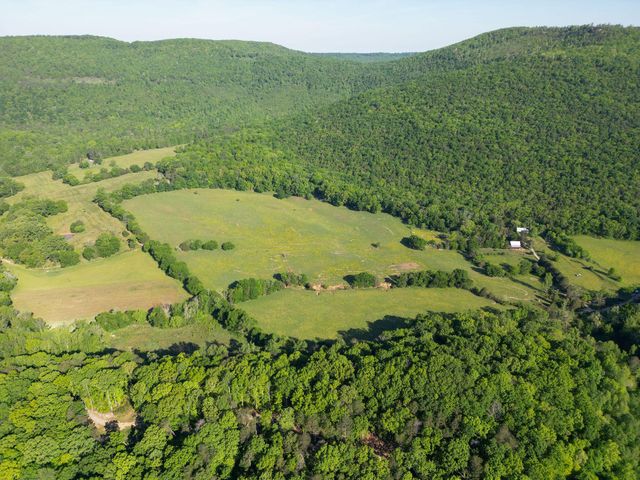 1140 County Road 797, Valley Head, AL 35989