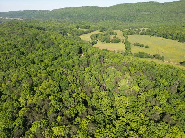 1140 County Road 797, Valley Head, AL 35989