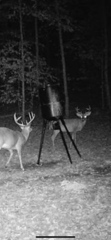 1140 County Road 797, Valley Head, AL 35989