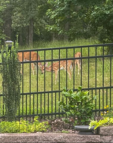 2319 Abigail Drive, Bryant, AR 72019