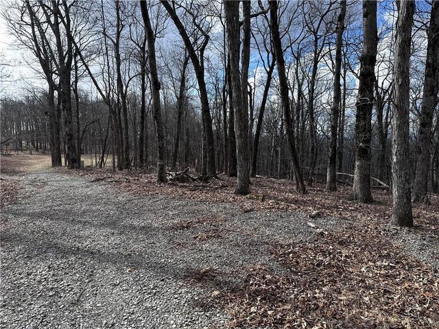 Trct C Old A T Approach Trail, Jasper, GA 30143