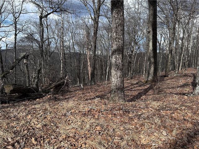 Trct C Old A T Approach Trail, Jasper, GA 30143