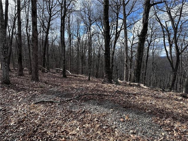 Trct C Old A T Approach Trail, Jasper, GA 30143