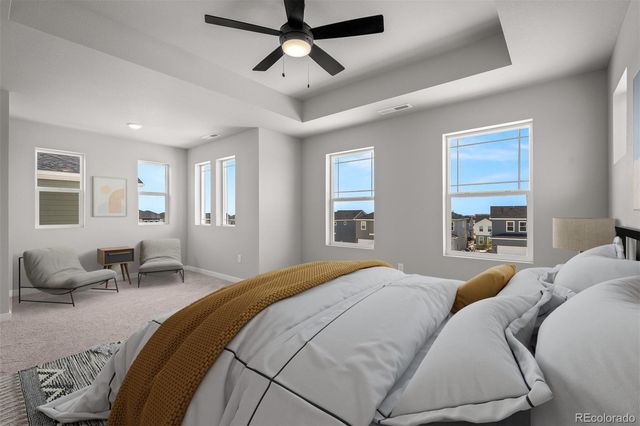 6343 Scrabble View, Colorado Springs, CO 80924