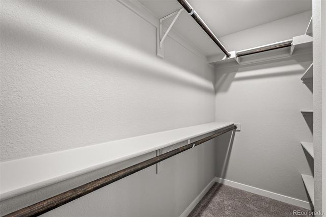 6343 Scrabble View, Colorado Springs, CO 80924