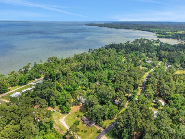 32 Gov Culberson Circle, Point Blank, TX 77364