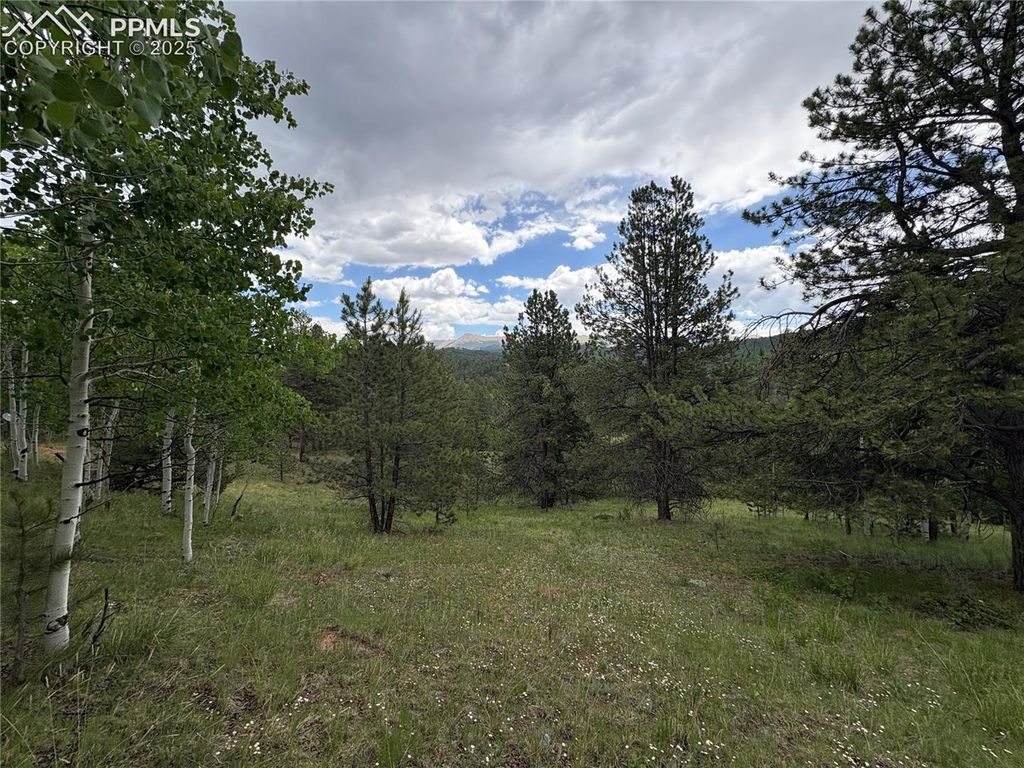 532 May Queen Drive, Cripple Creek, CO 80813 — exterior