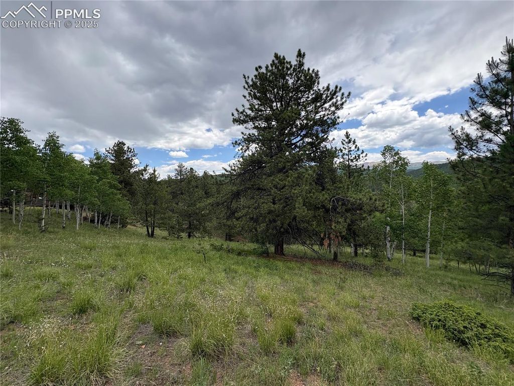 532 May Queen Drive, Cripple Creek, CO 80813 — photo 2