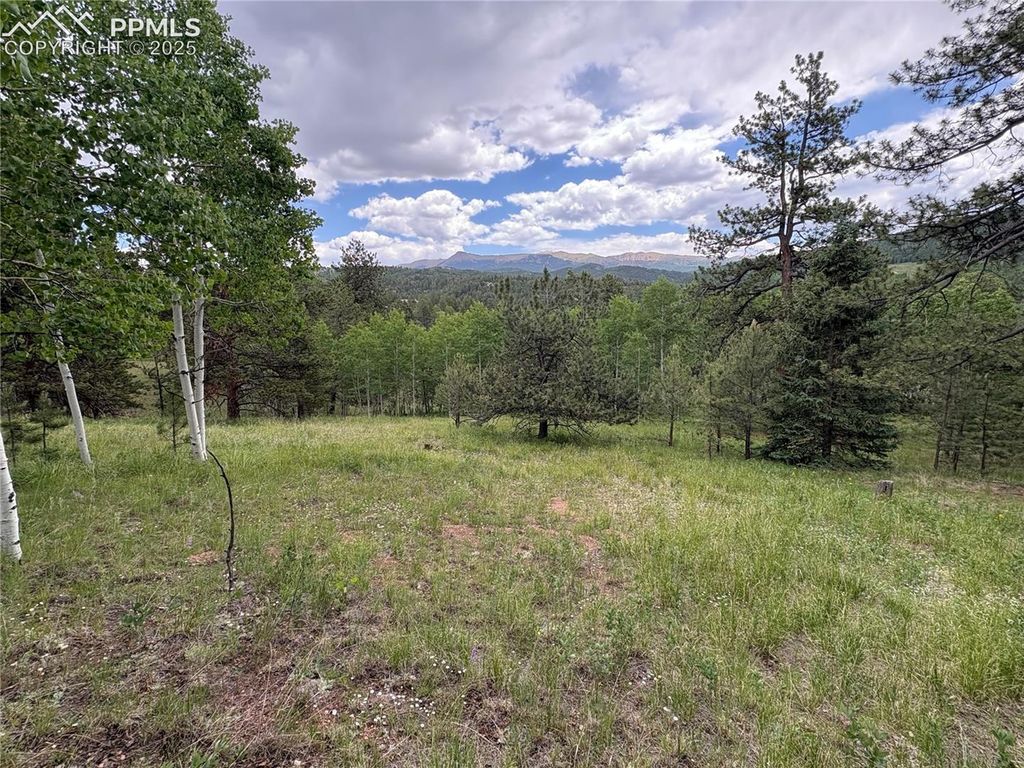 532 May Queen Drive, Cripple Creek, CO 80813 — photo 4